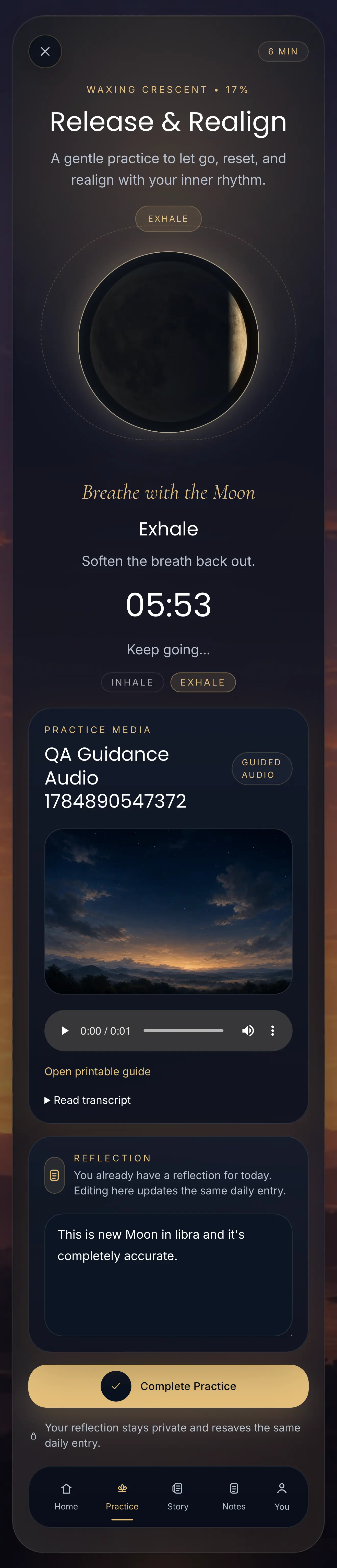 Moon-Aligned Practice preview